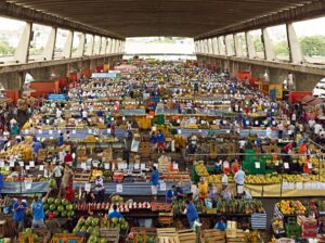 brazilian market