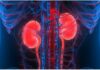 WE HAVE TWO KIDNEYS BUT ONLY NEED ONE KIDNEY TO LIVE kidney